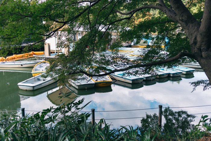 Whispers of the Waterfront