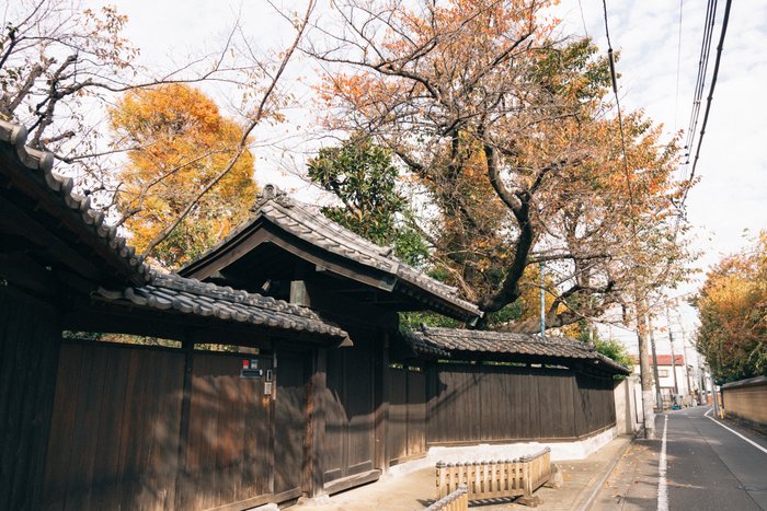 Autumn's Whispering Path