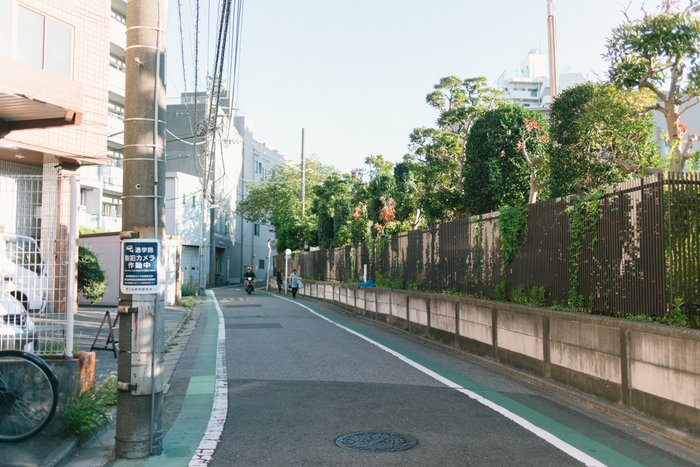 Whispers of the Urban Alley