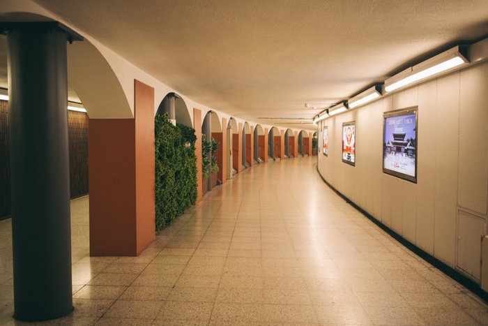 Corridor of Timelessness