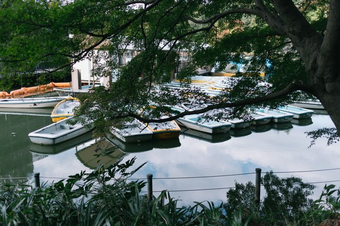 Whispers of the Waterfront