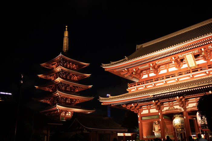 Illuminated Serenity