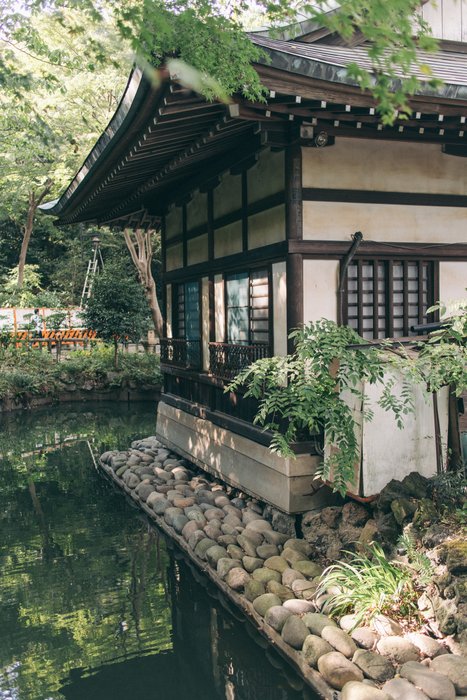 Whispers of the Zen Garden