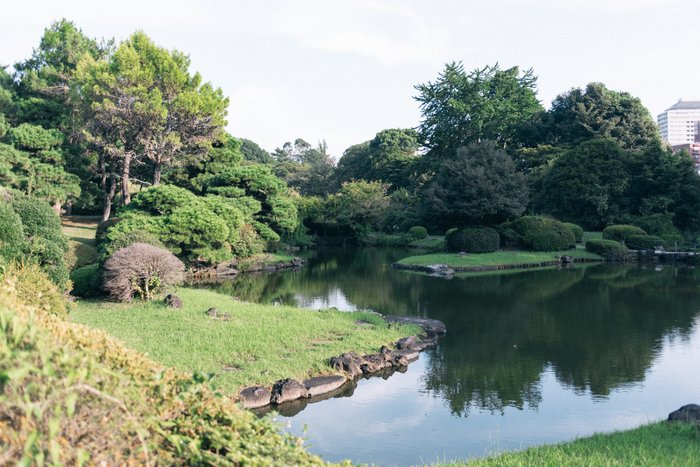 Whispers of the Serene Garden