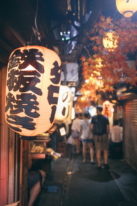 Illuminated Pathways