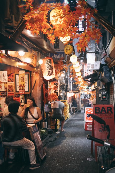 Glowing Alleys of Tokyo