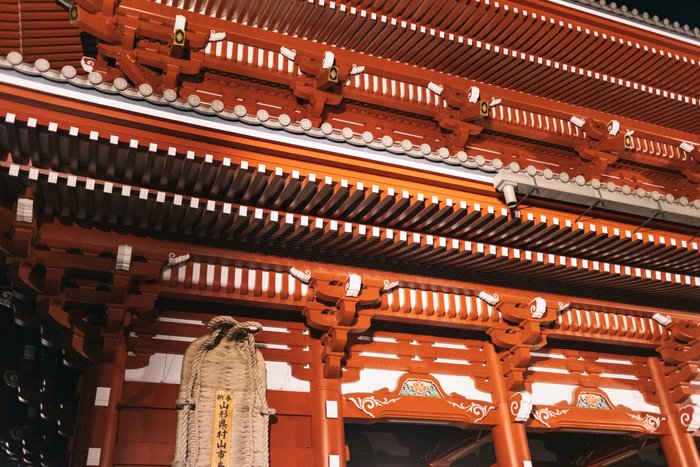 Elegance of the Red Roof