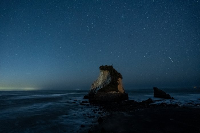 Starry Sentinel by the Sea